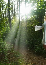 Shine The Light